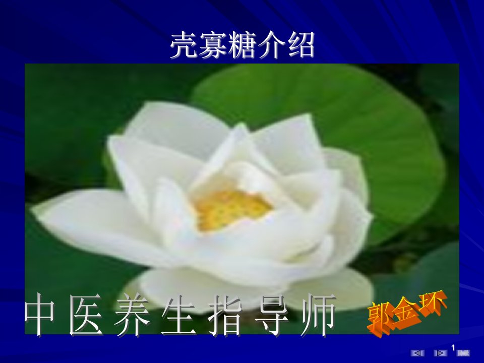 壳寡糖_图文-课件（ppt·精·选）