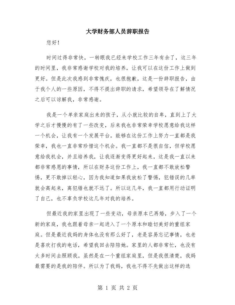 大学财务部人员辞职报告