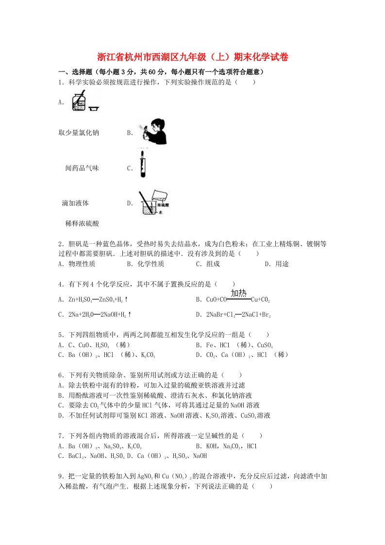 浙江省杭州市西湖区九级化学上学期期末考试试题（含解析）