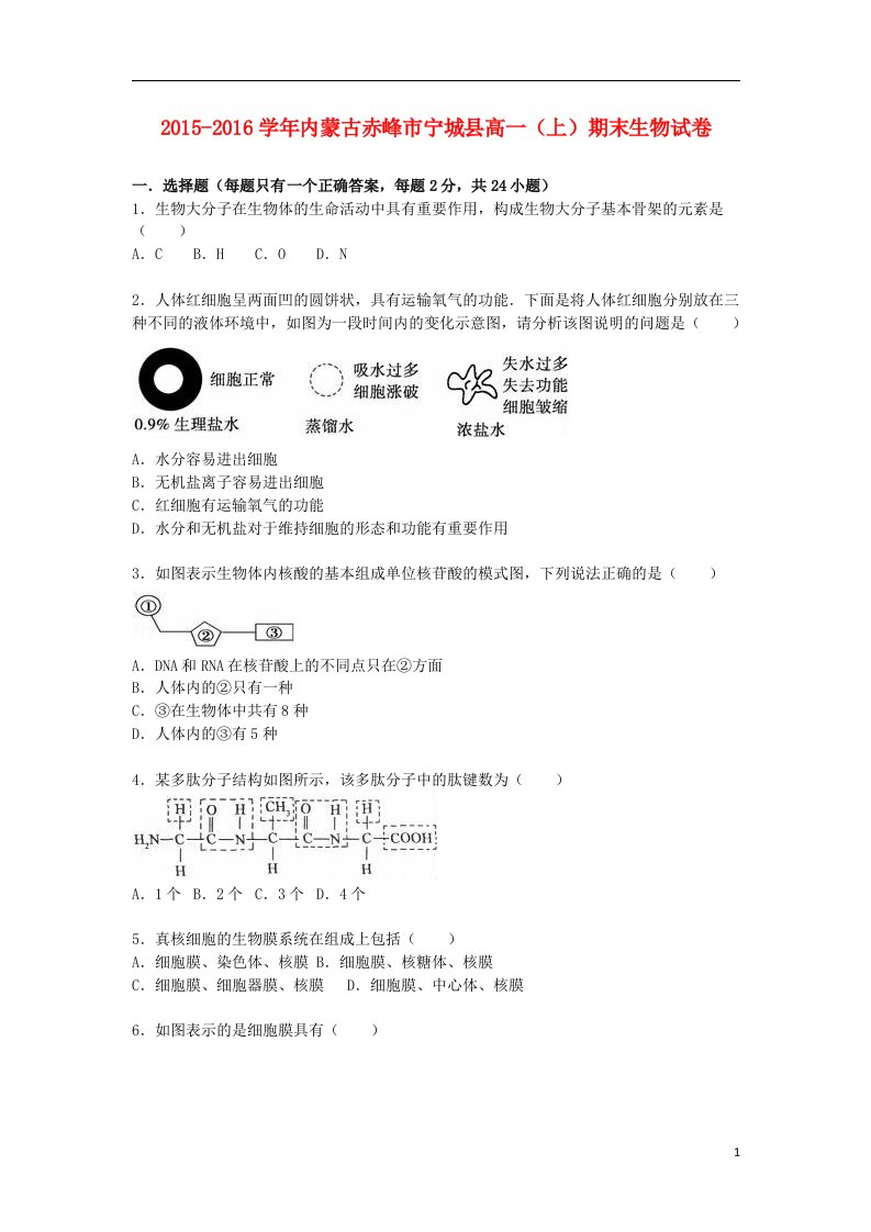 内蒙古赤峰市宁城县高一生物上学期期末试卷（含解析）