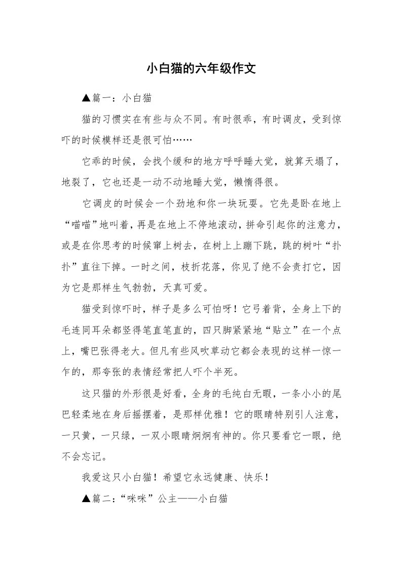 小白猫的六年级作文