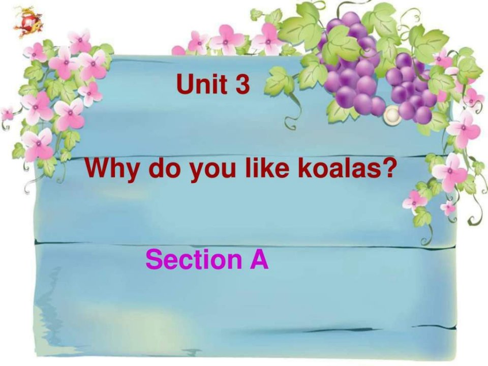 Why_do_you_like_koalas课件SectionA