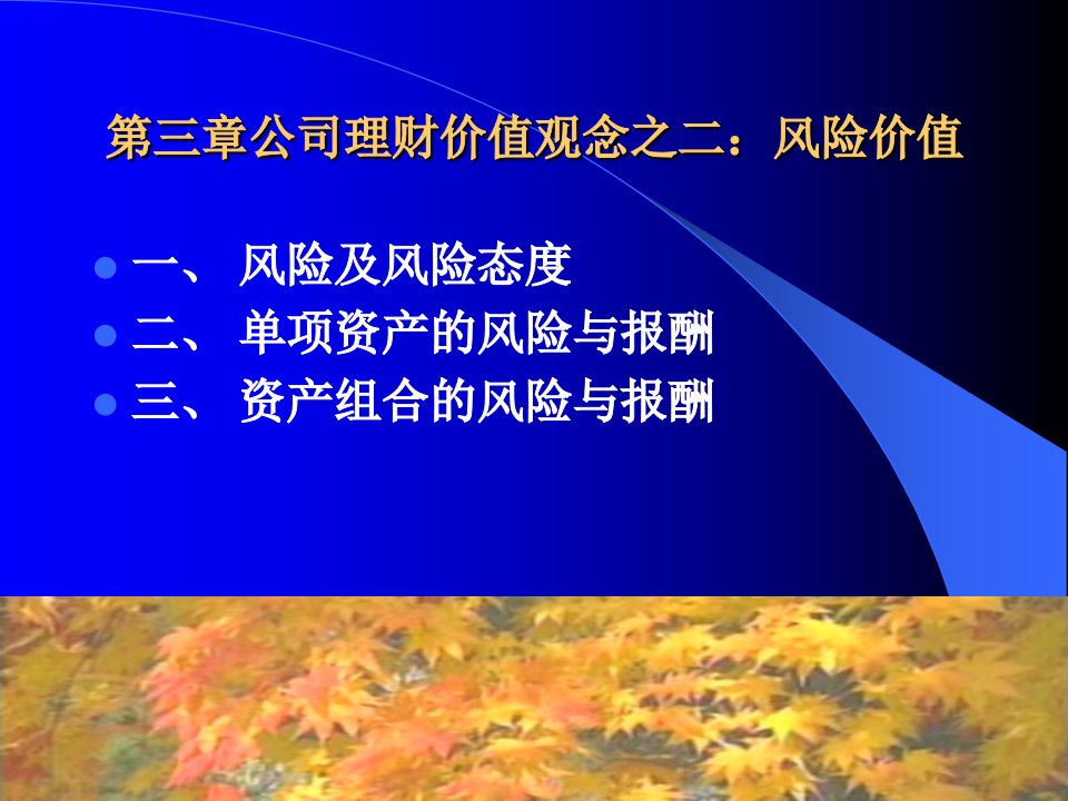 公司理财课件第三章风险价值