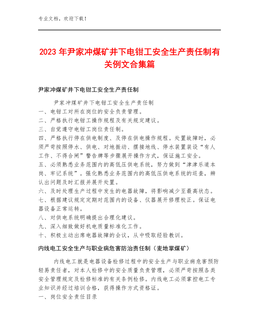 2023年尹家冲煤矿井下电钳工安全生产责任制例文合集篇