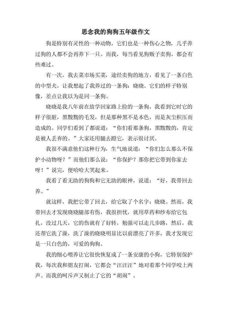 怀念我的狗狗五年级作文