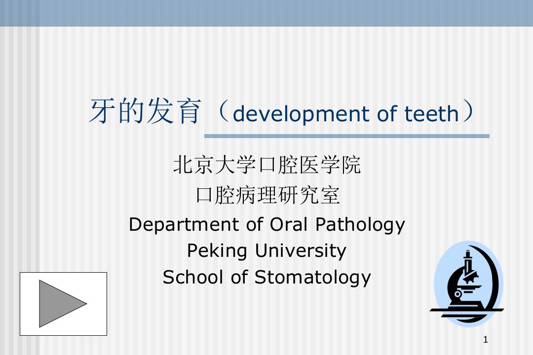 牙的发育教学课件