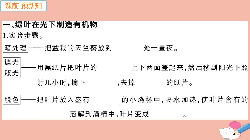 2021秋七年级生物上册第三单元生物圈中的绿色植物第四章绿色植物是生物圈中有机物的制造者作业课件新版新人教版