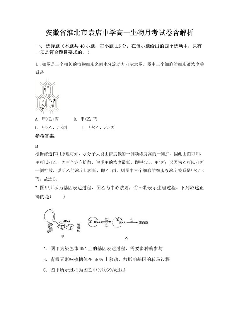 安徽省淮北市袁店中学高一生物月考试卷含解析