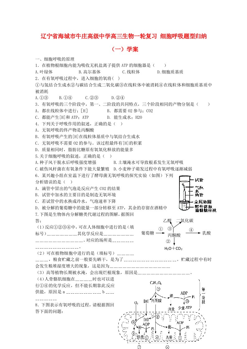 高三生物一轮复习