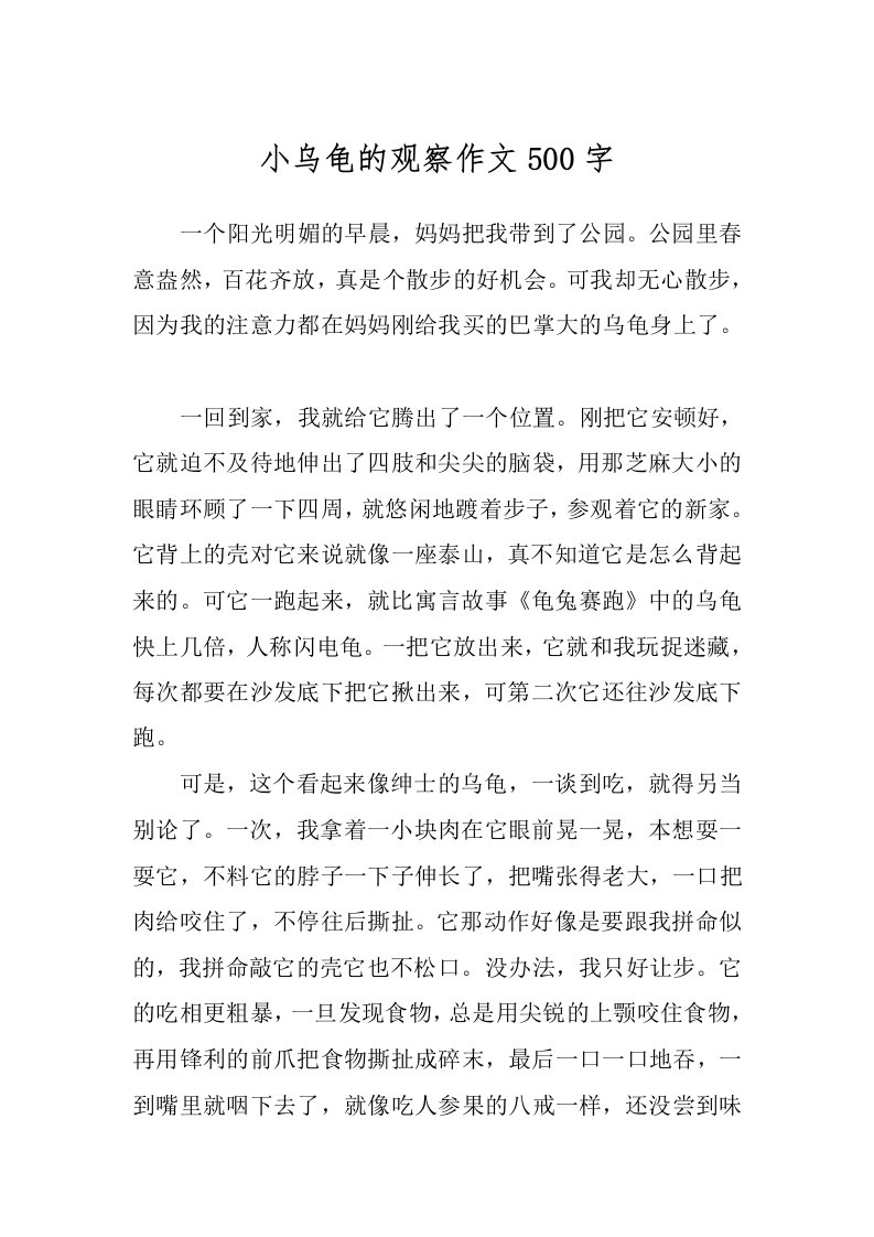 小乌龟的观察作文500字