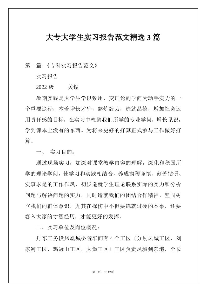 大专大学生实习报告范文精选3篇