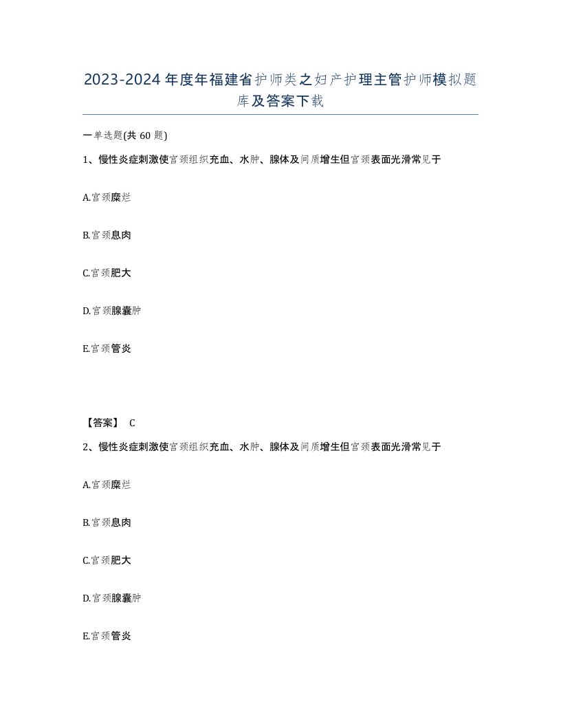 2023-2024年度年福建省护师类之妇产护理主管护师模拟题库及答案