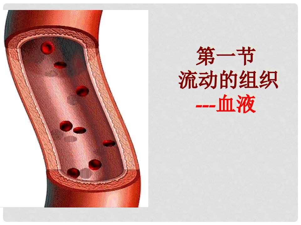 湖北省武汉为明实验学校七年级生物下册