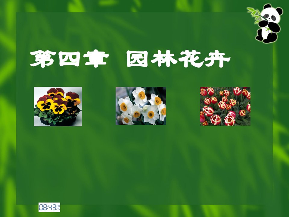 园林花卉分类(PPT34页)