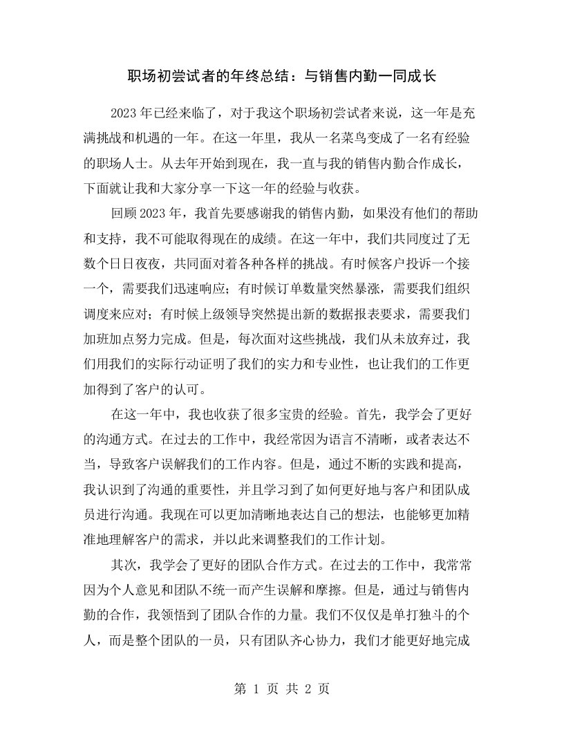 职场初尝试者的年终总结：与销售内勤一同成长