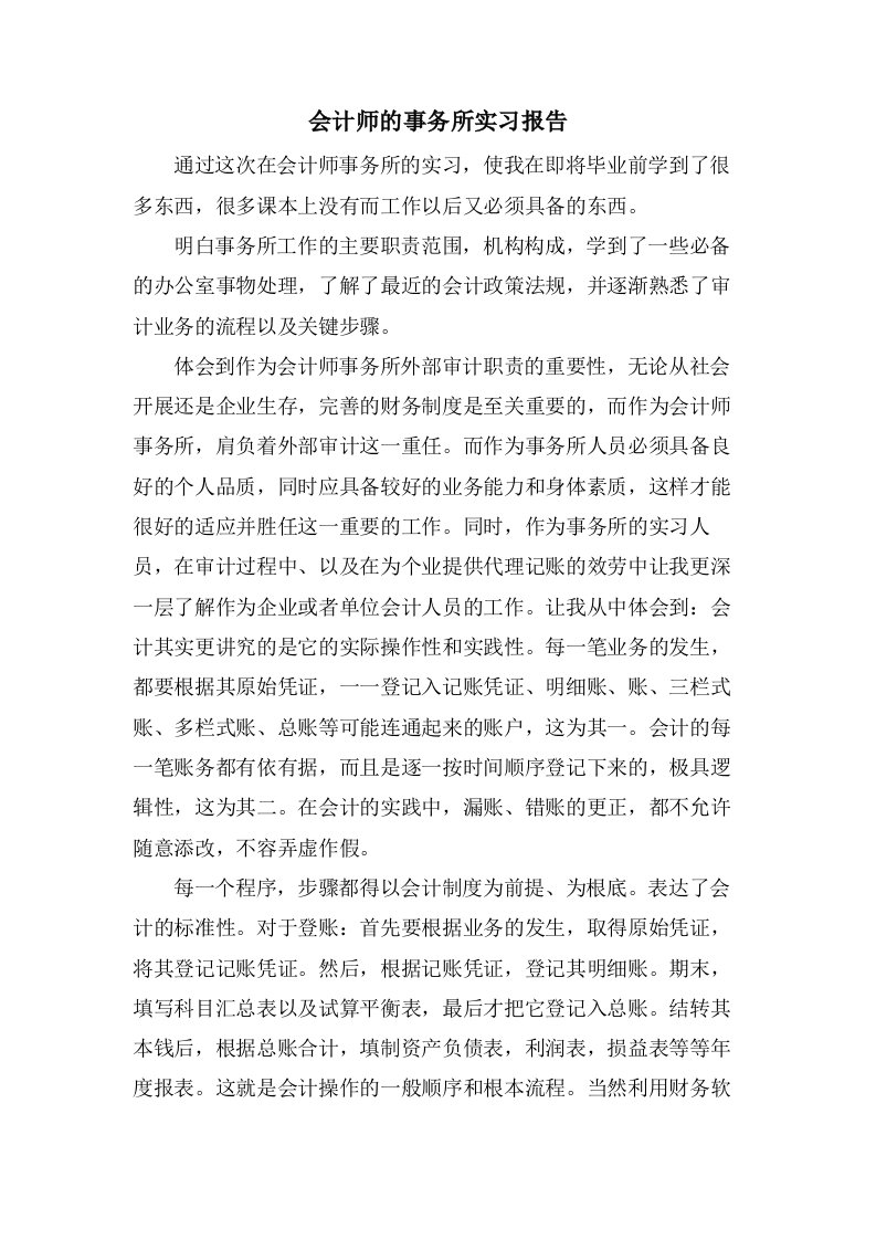 会计师的事务所实习报告