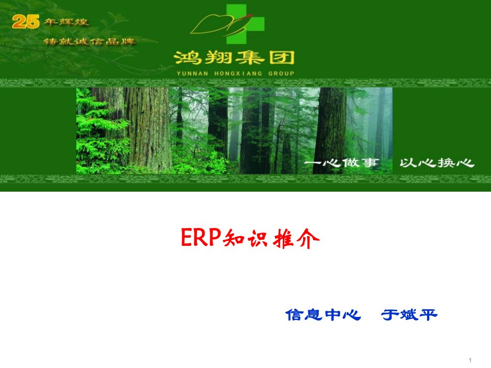 《ERP知识推介》PPT课件