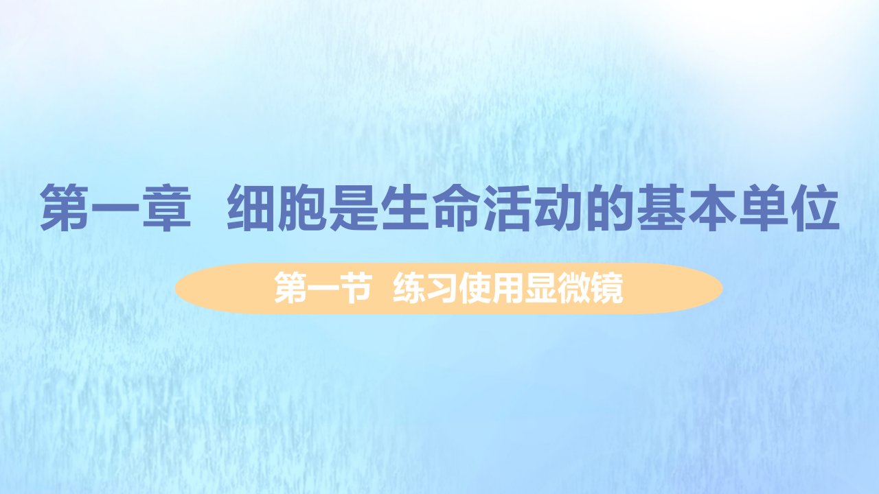 七年级生物上册第二单元生物体的结构层次第一章细胞是生命活动的基本单位第一节练习使用显微镜教学课件新版新人教版