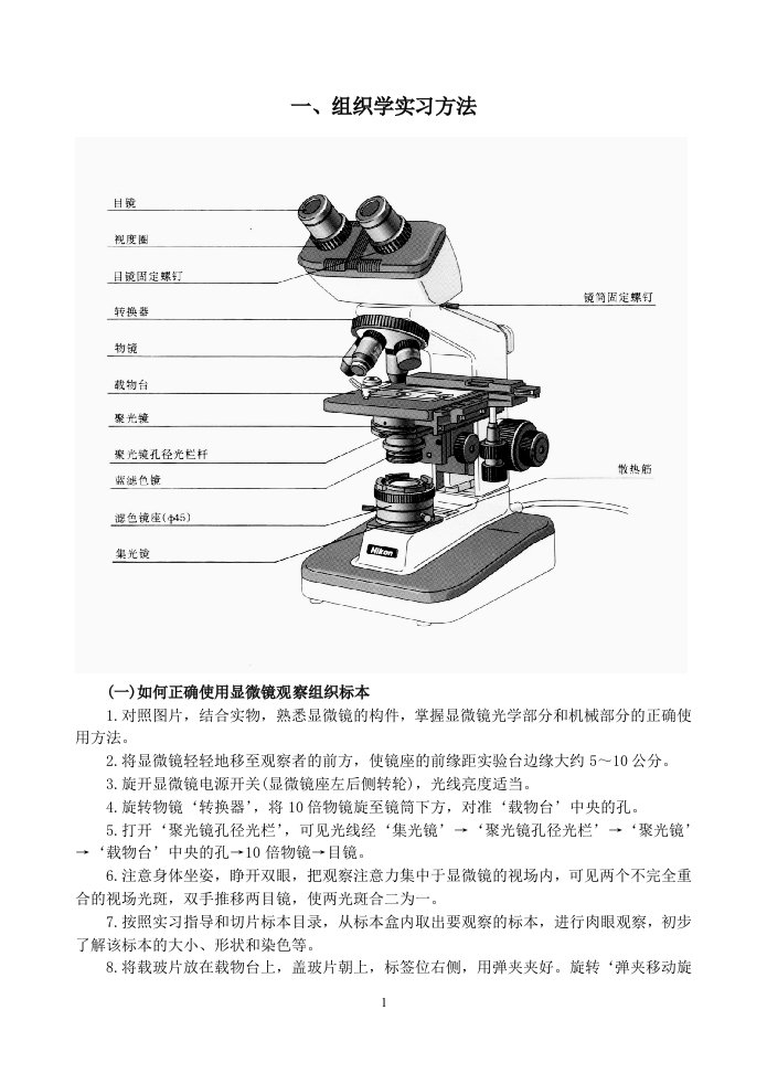 组织学实习方法