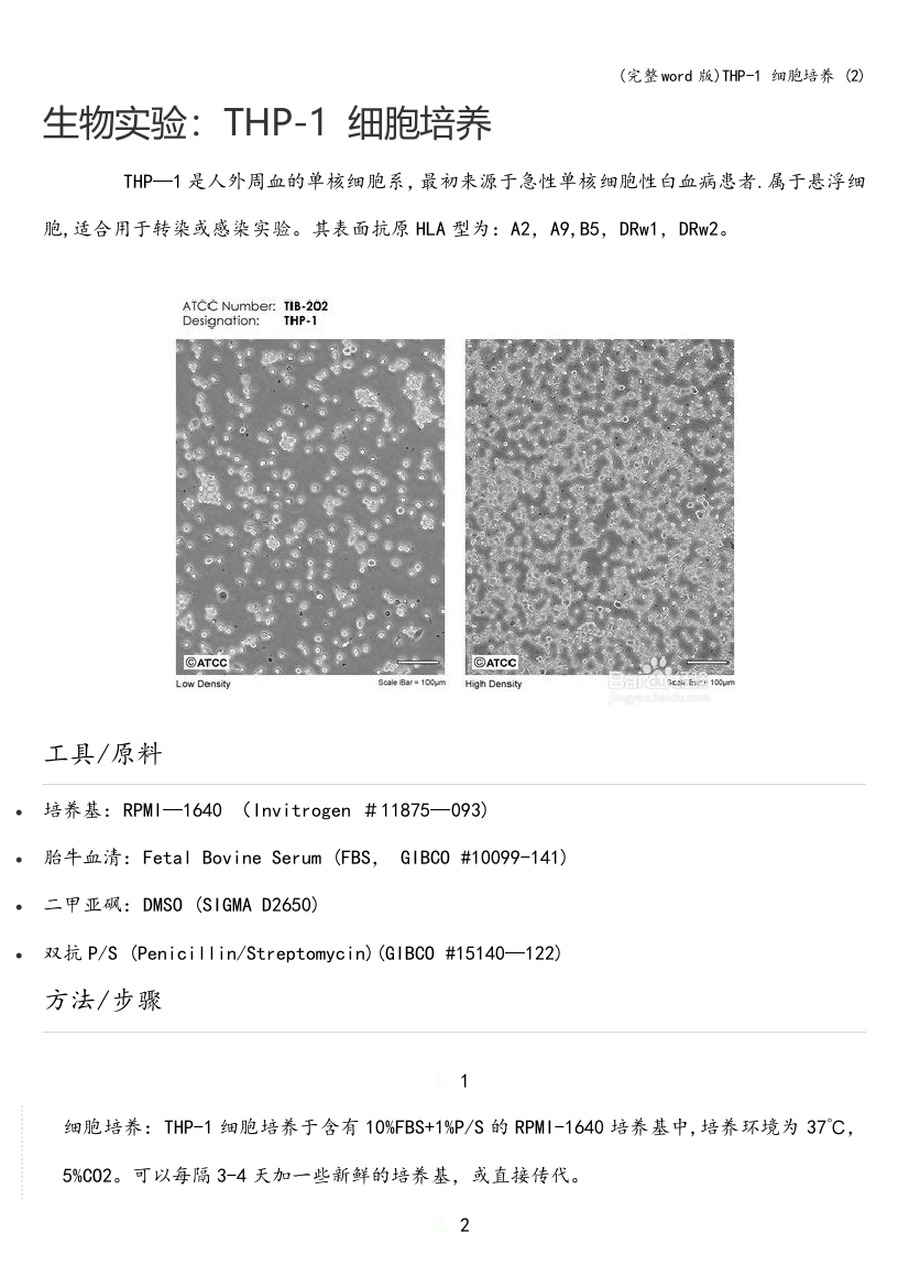 THP-1-细胞培养-(2)
