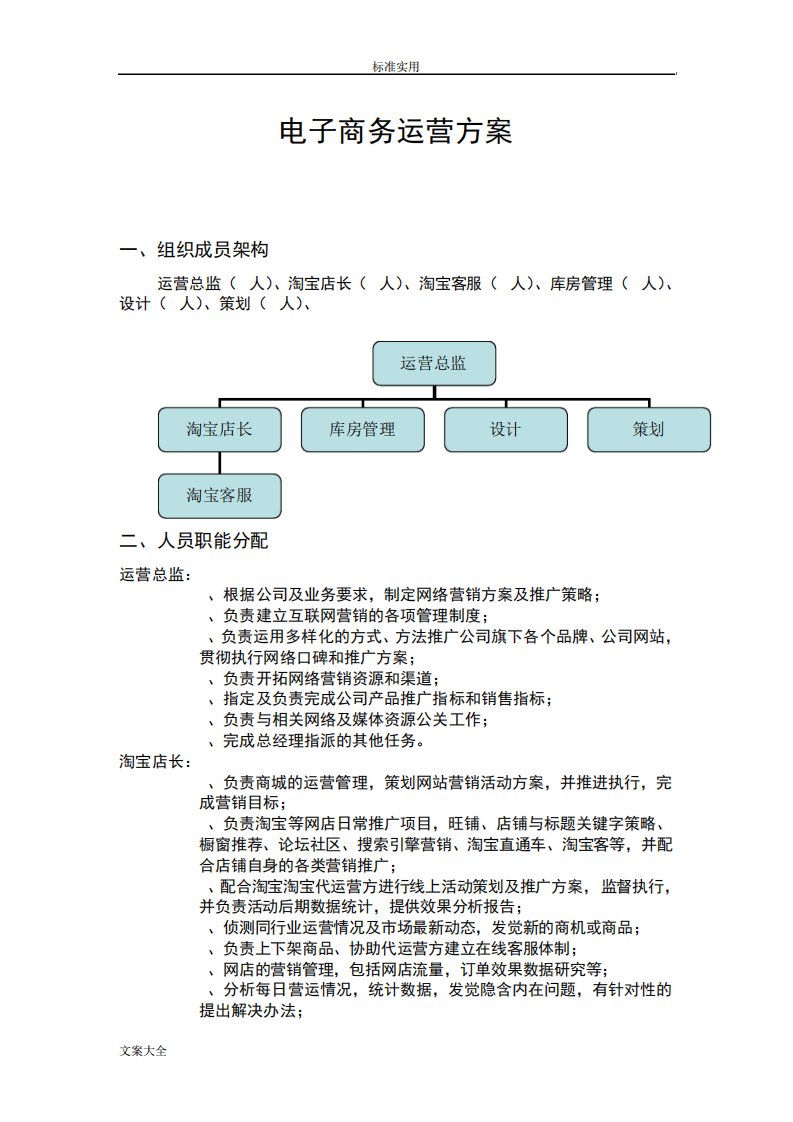 电子商务运营方案设计