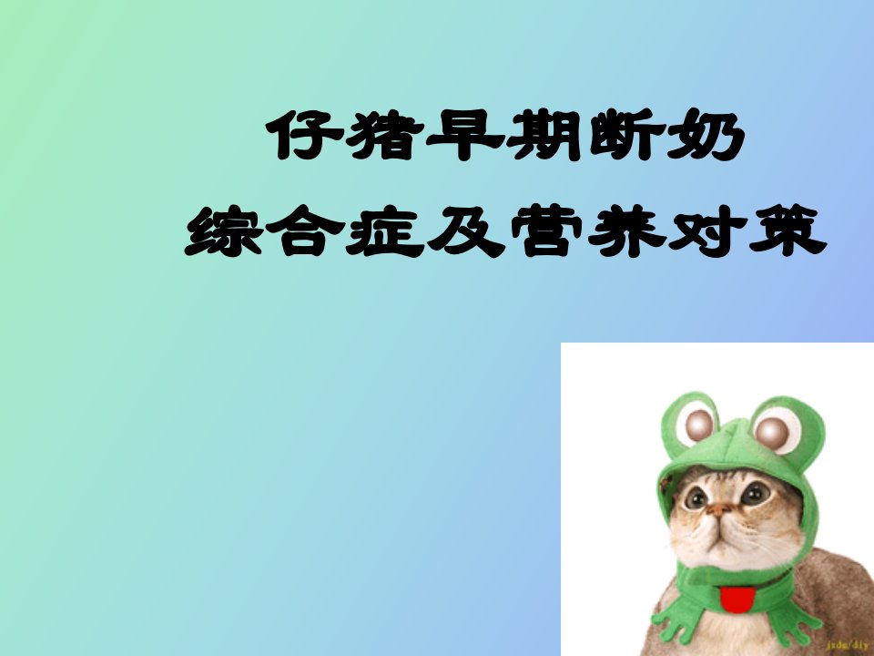 仔猪早期断奶综合症