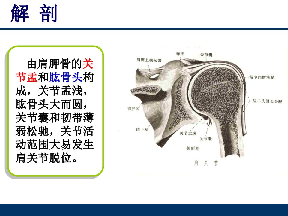 肩关节脱位讲义