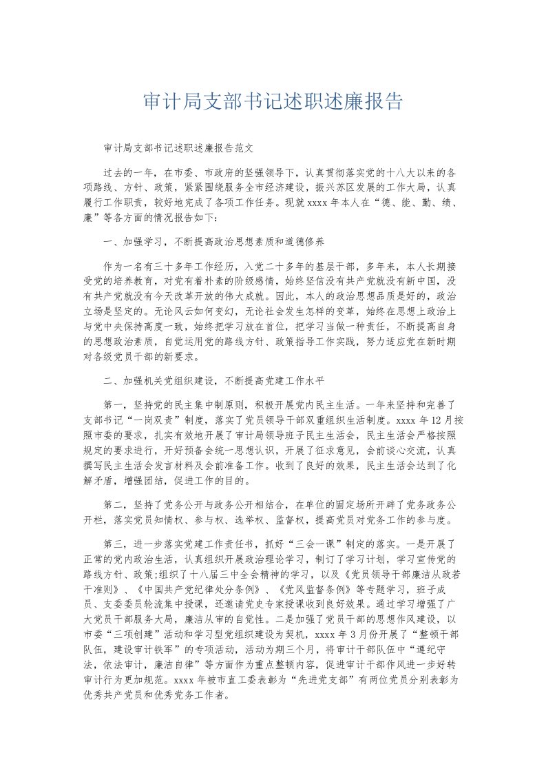 总结报告审计局支部书记述职述廉报告