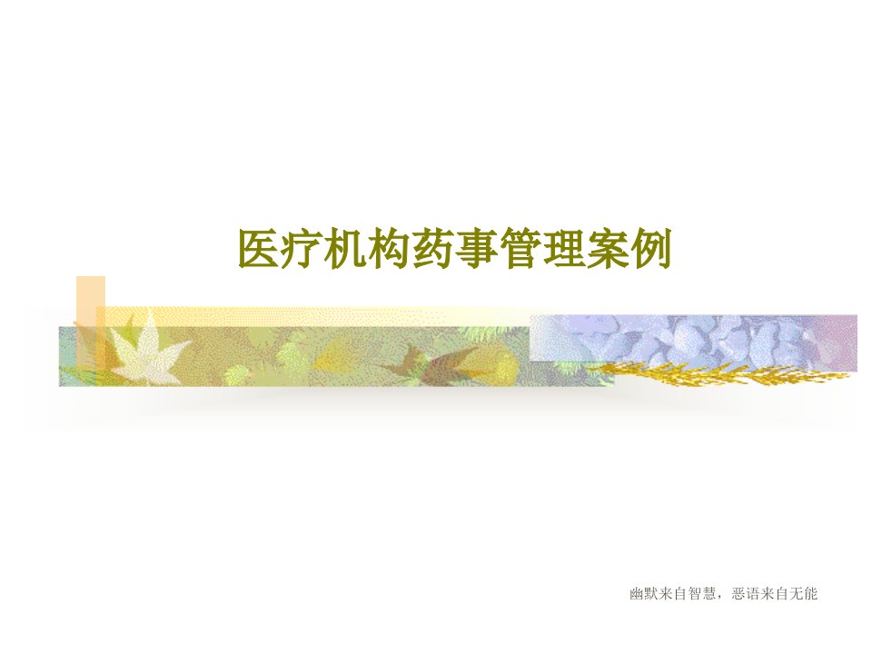 医疗机构药事管理案例PPT文档共89页