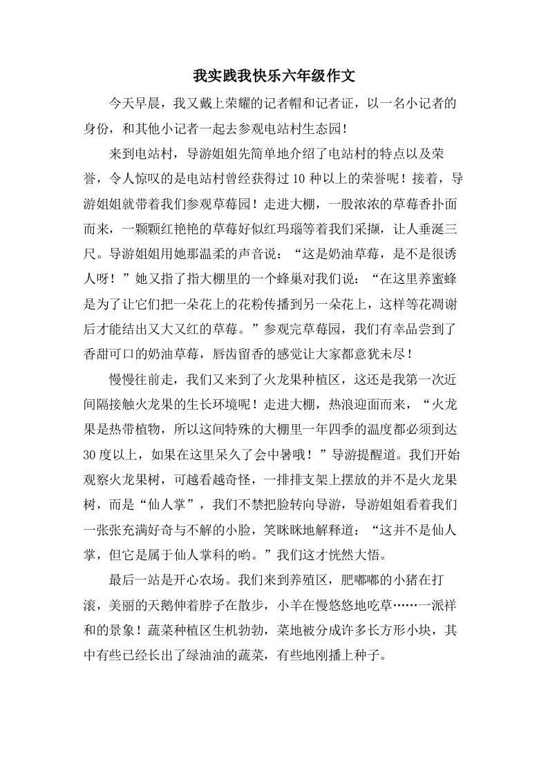 我实践我快乐六年级作文