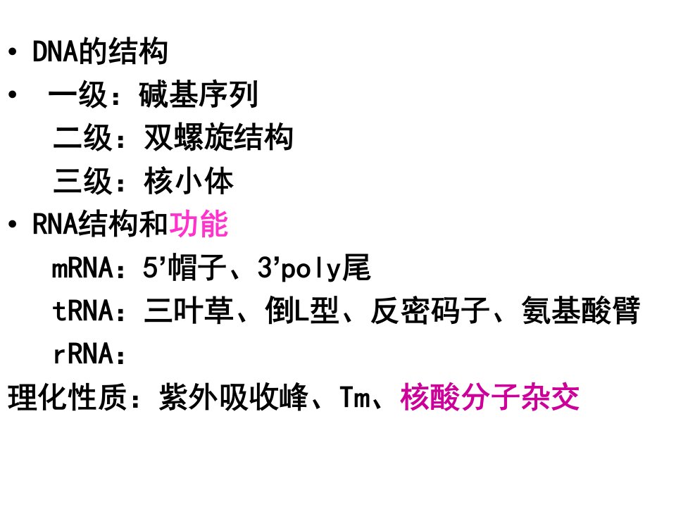 《基础医学酶》PPT课件