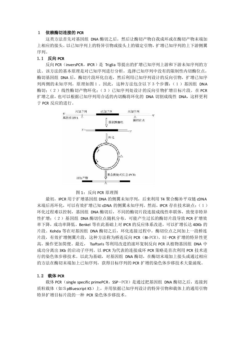 基于PCR的染色体步移