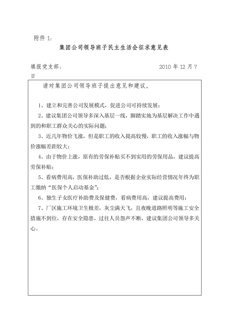 集团公司领导班子民主生活会征求意见表