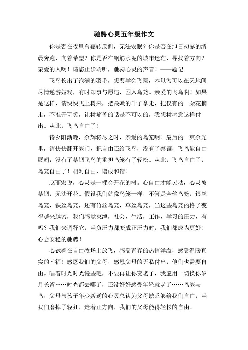 驰骋心灵五年级作文