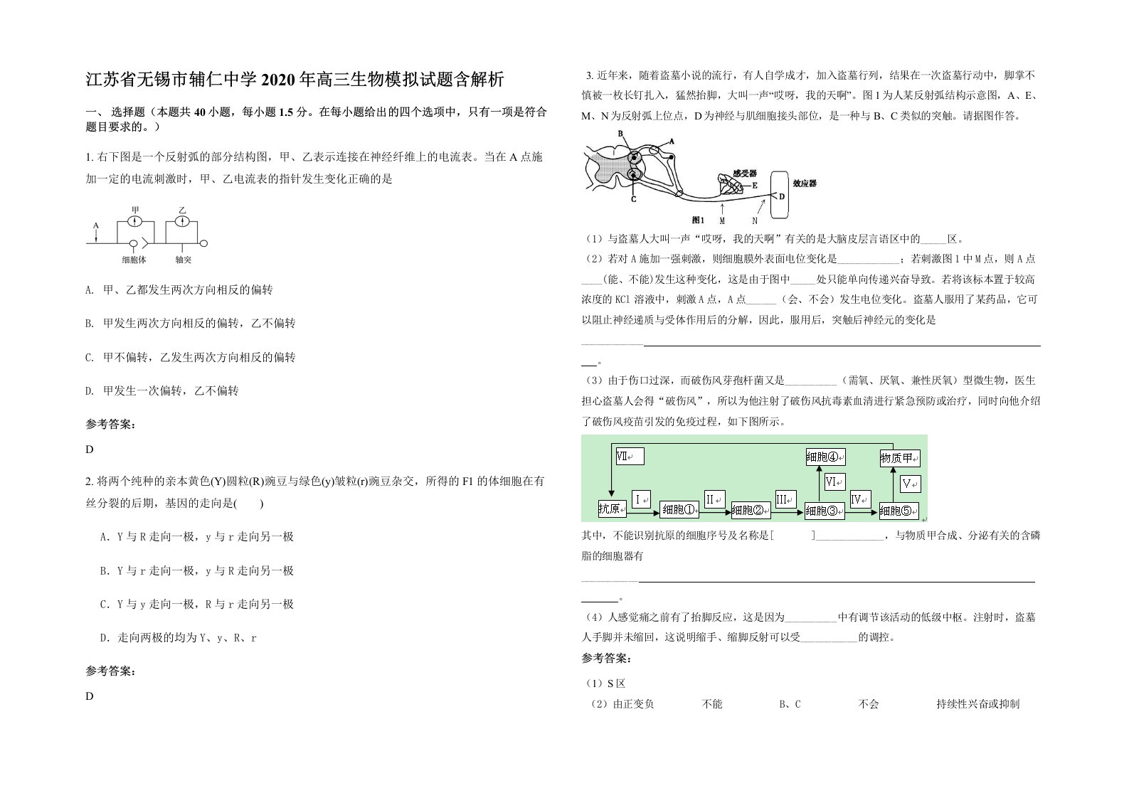 江苏省无锡市辅仁中学2020年高三生物模拟试题含解析