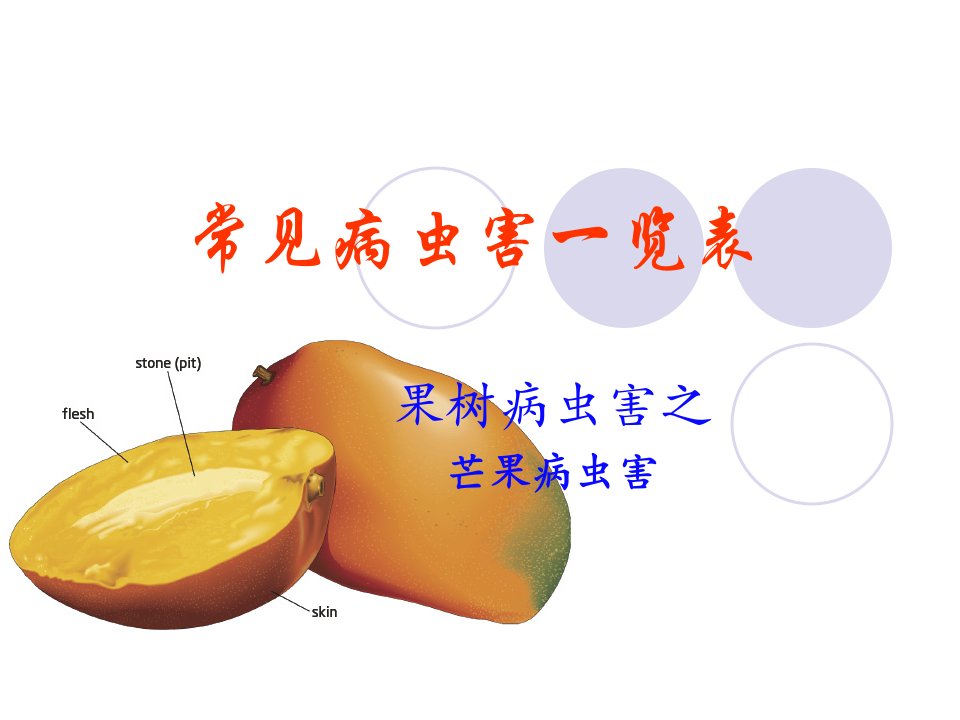 芒果常见病虫害一览表