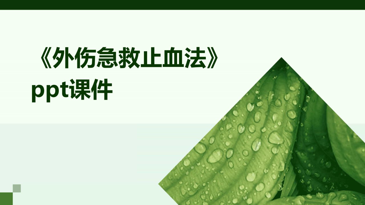 《外伤急救止血法》课件