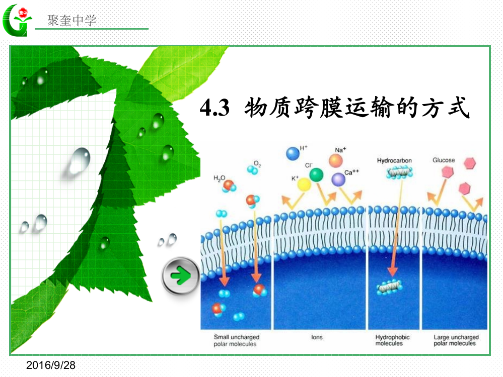 43物质跨膜运输的方式