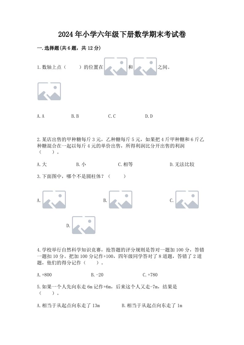 2024年小学六年级下册数学期末考试卷附完整答案【典优】