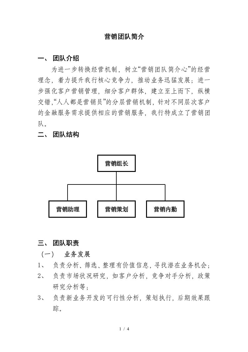 营销团队简介精编