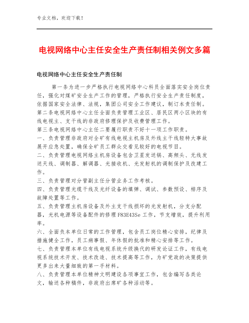 电视网络中心主任安全生产责任制例文多篇