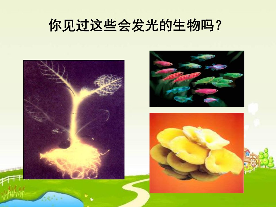 八年级生物现代生物技术