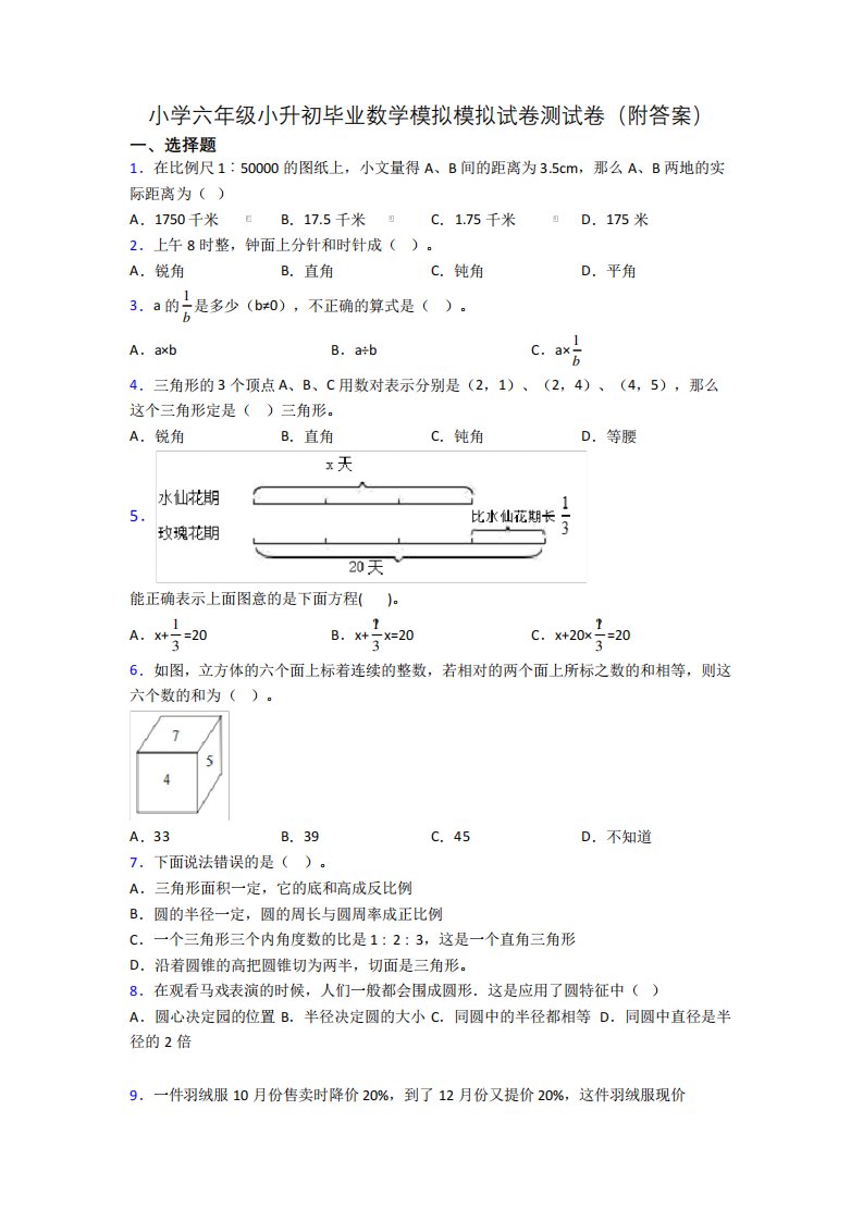 小学六年级小升初毕业数学模拟模拟试卷测试卷(附答案)