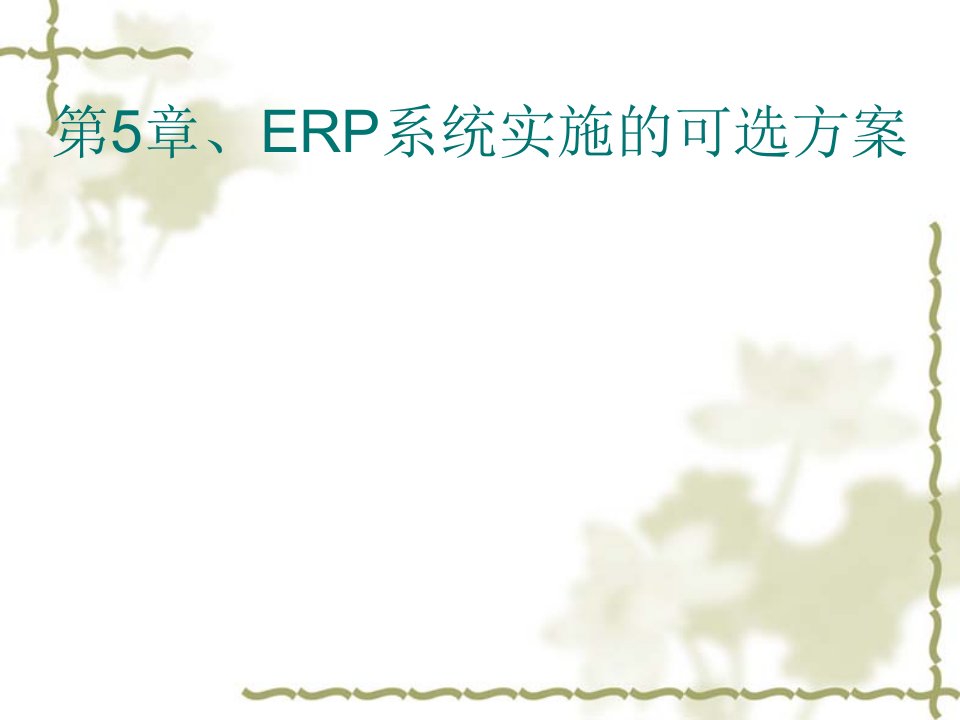 ERP系统实施的可选方案