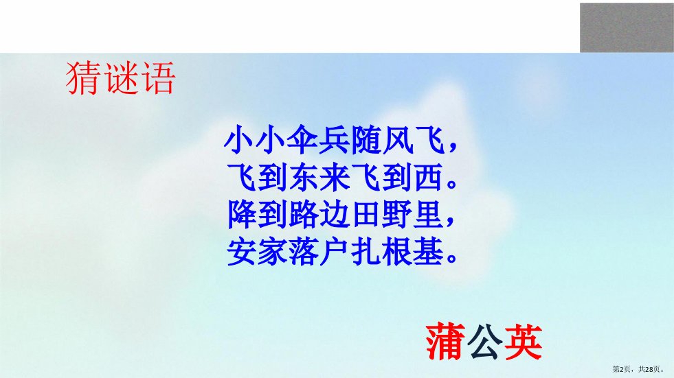 三年级上册语文课件16金色的草地部编版PPT28页PPT28页