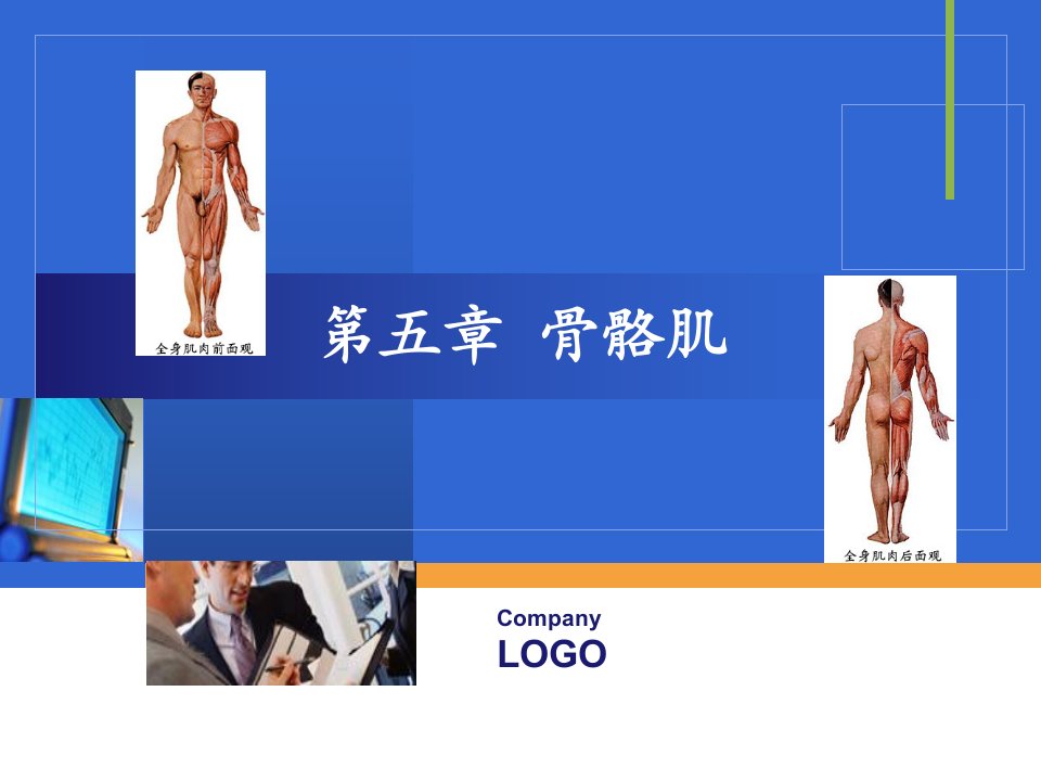 《运动上肢的作用肌》PPT课件