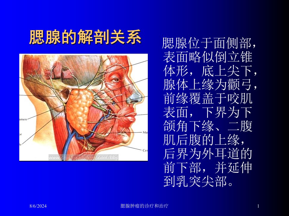 2021年腮腺肿瘤的诊疗和治疗讲义