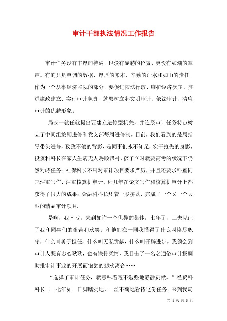 审计干部执法情况工作报告（一）