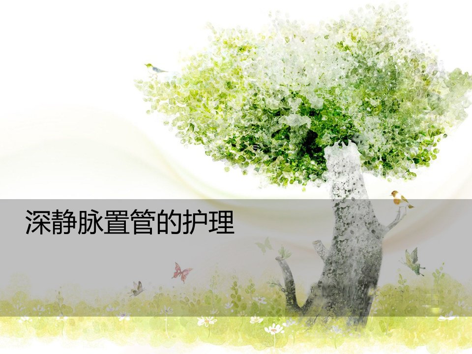 深静脉置管护理_基础医学_医药卫生_专业料