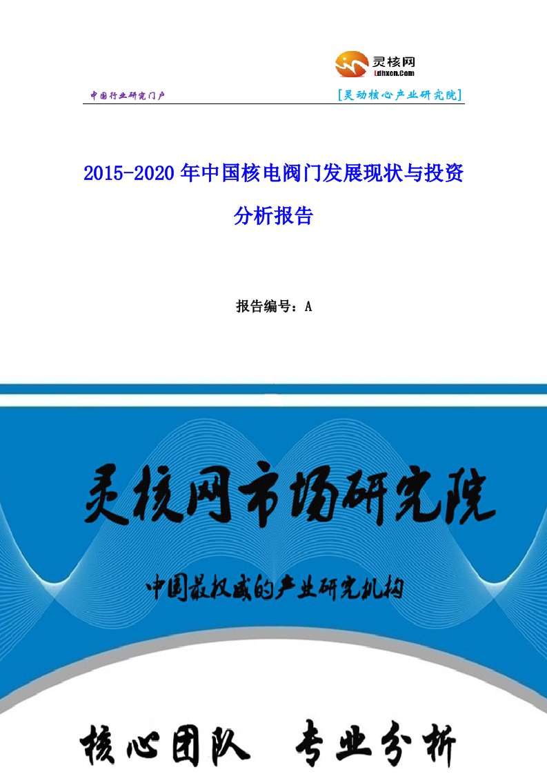 中国核电阀门行业市场分析与发展趋势研究报告灵核网